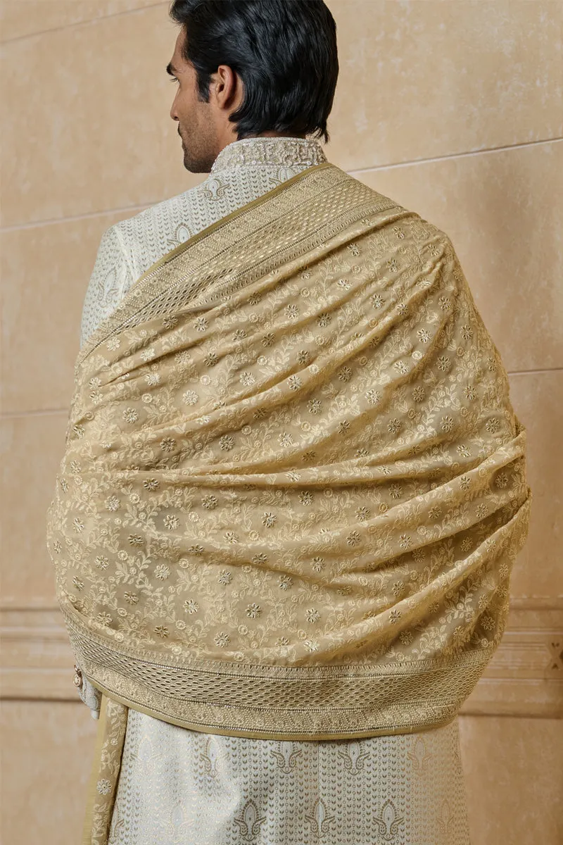 Beige All Over Embroidered Shawl In Georgette