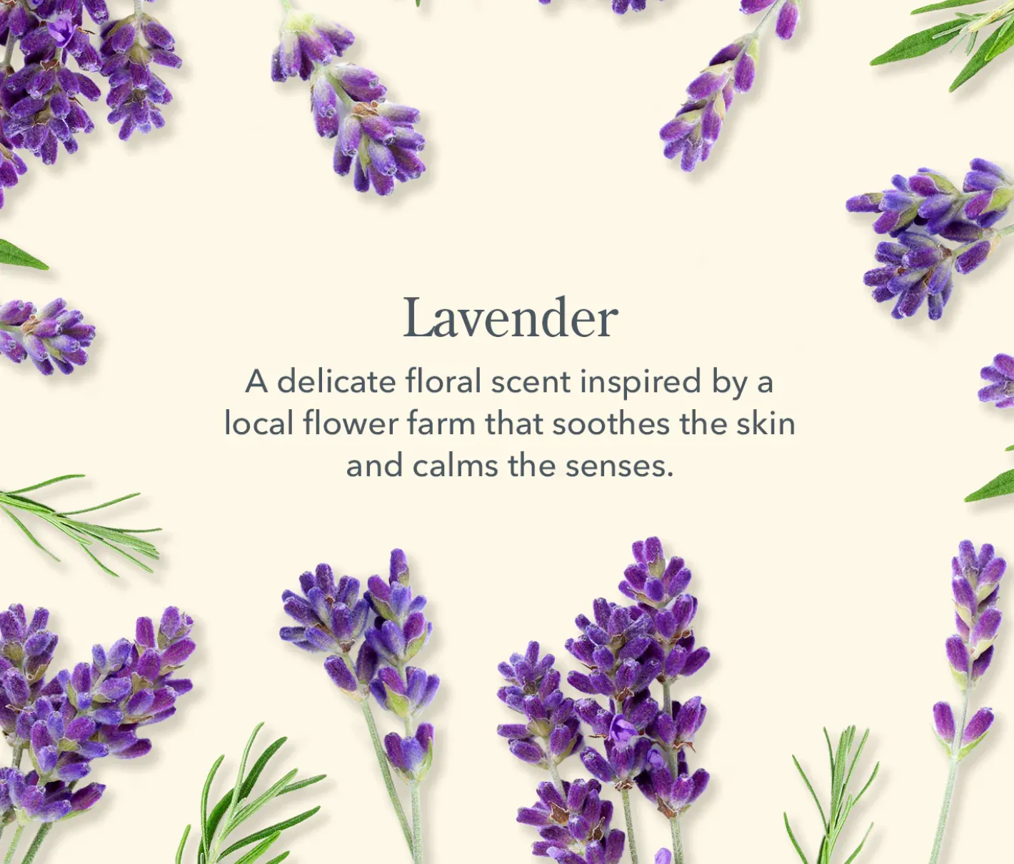 Lavender 3pc Gift Set