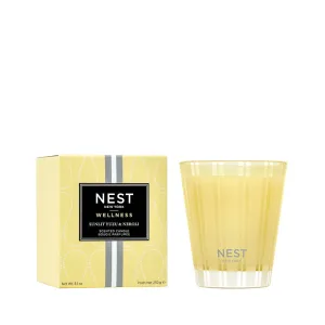 NEST FRAGRANCES | Sunlit Yuzu & Neroli Candle